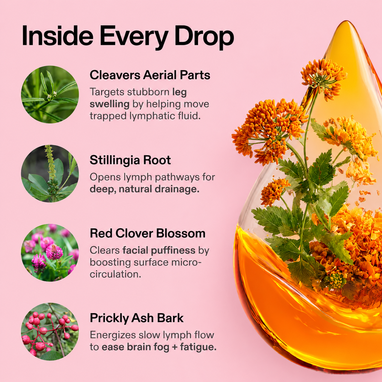 Lymphatic Drainage Drops